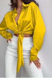 Delicate Satin Silk Shirt Blouse with Lace-Up Front and Crop