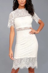White Lace Crochet Hollow Out  Bodycon Dress