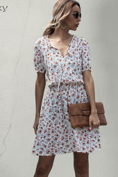 Floral V-Neck Short Sleeve Mini Dress